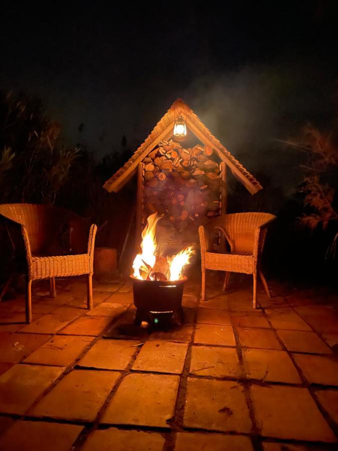 Myinsolite - Tiny-House, Jacuzzi, Brasero, Piscine Aigues-Mortes Εξωτερικό φωτογραφία
