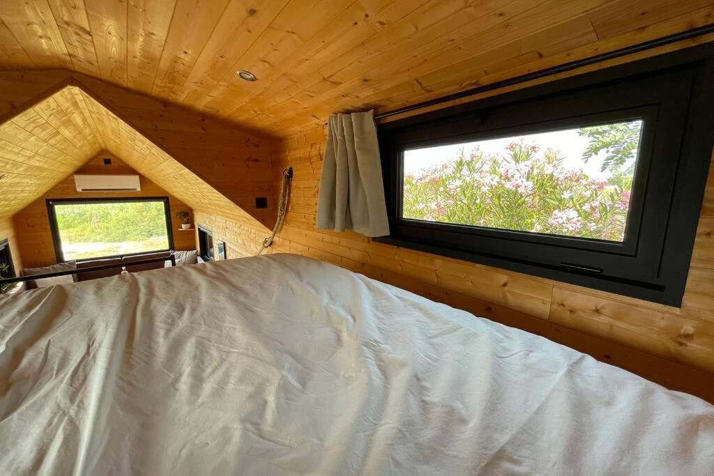 Myinsolite - Tiny-House, Jacuzzi, Brasero, Piscine Aigues-Mortes Εξωτερικό φωτογραφία