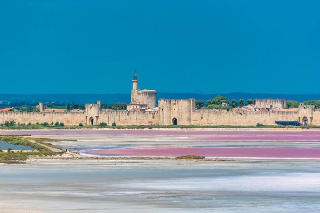 Myinsolite - Tiny-House, Jacuzzi, Brasero, Piscine Aigues-Mortes Εξωτερικό φωτογραφία