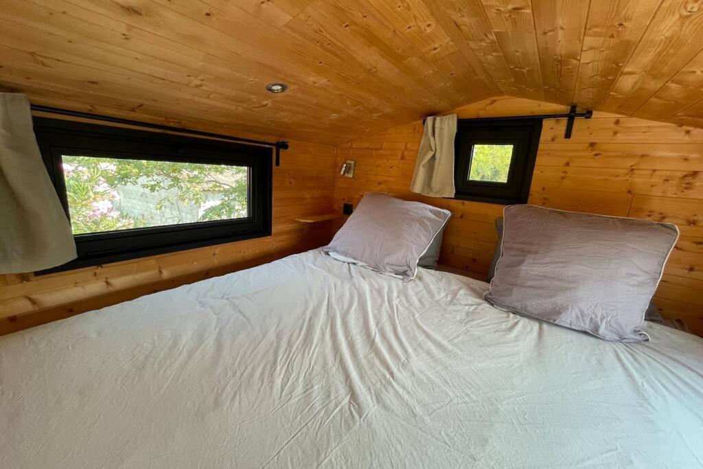 Myinsolite - Tiny-House, Jacuzzi, Brasero, Piscine Aigues-Mortes Εξωτερικό φωτογραφία