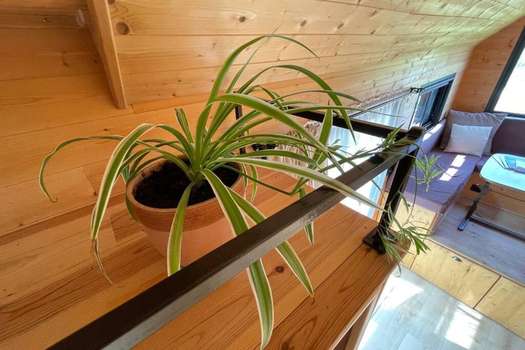 Myinsolite - Tiny-House, Jacuzzi, Brasero, Piscine Aigues-Mortes Εξωτερικό φωτογραφία