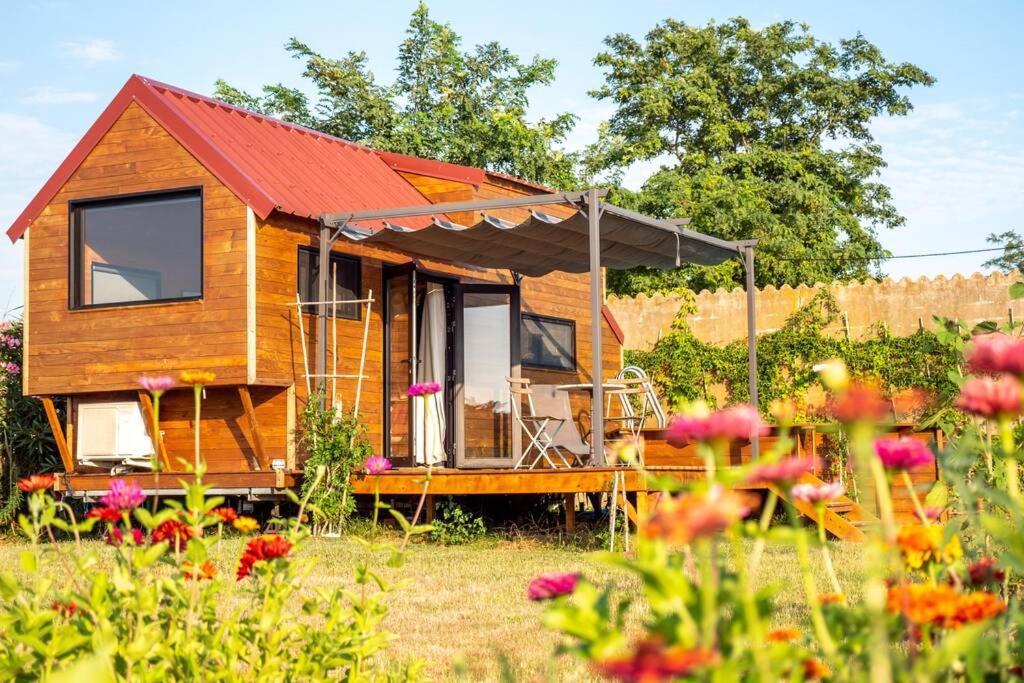 Myinsolite - Tiny-House, Jacuzzi, Brasero, Piscine Aigues-Mortes Εξωτερικό φωτογραφία